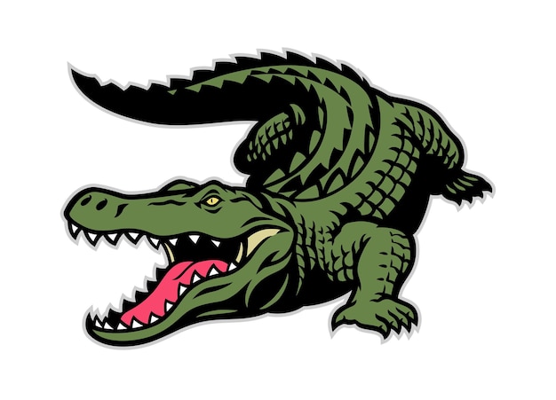 Vector crocodile mascot in whole body