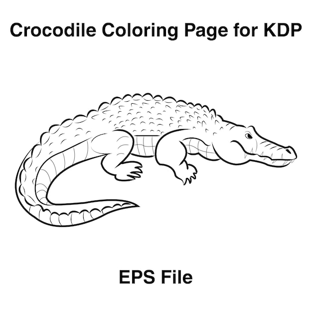 Crocodile outline coloring page