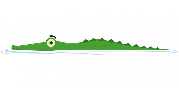 a crocodile peeks the prey in the lake