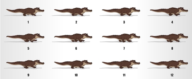 Вектор Кадры анимации цикла ходьбы крокодила, последовательность спрайтов, последовательность циклов анимации