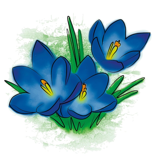 Vector crocus blue flower watercolor ukrainian