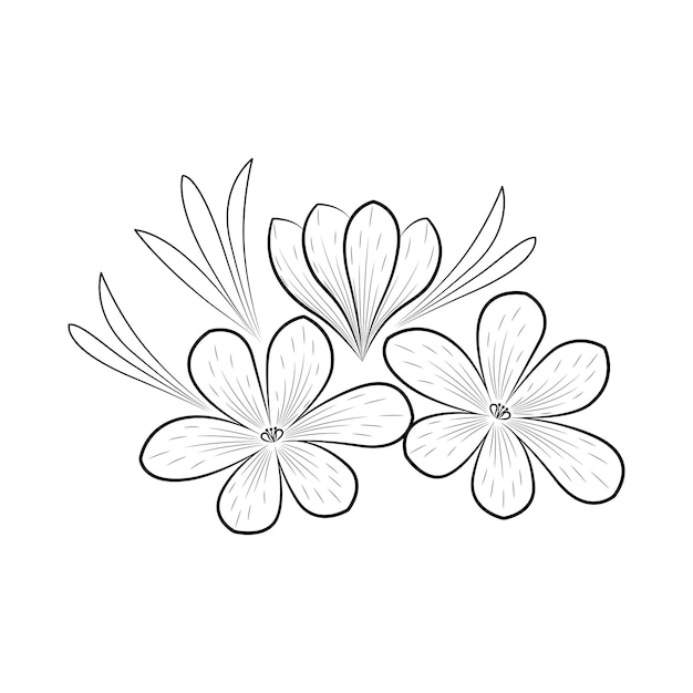 크로커스 또는 사프란 꽃 꽃 식물 꽃 격리 된 그림 요소 벡터 손 그리기 야생화