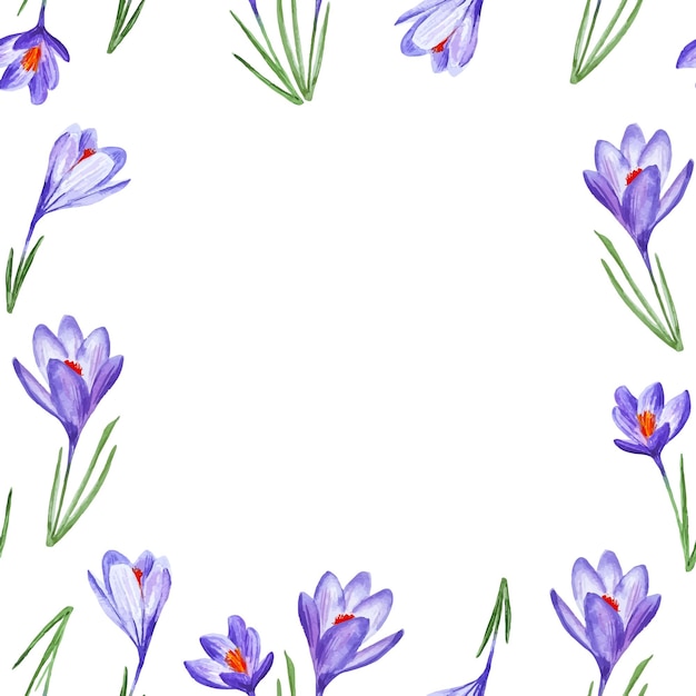 Crocus spring flowers pattern frame watercolor hand drawn for napkins and decor