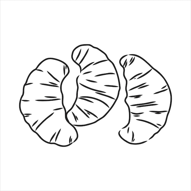 Croissant doodle, a hand drawn vector doodle illustration of a croissant. croissant vector sketch