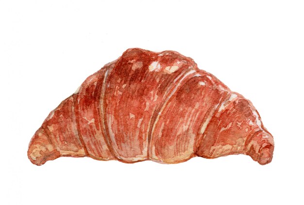 Vector croissant watercolor illustration