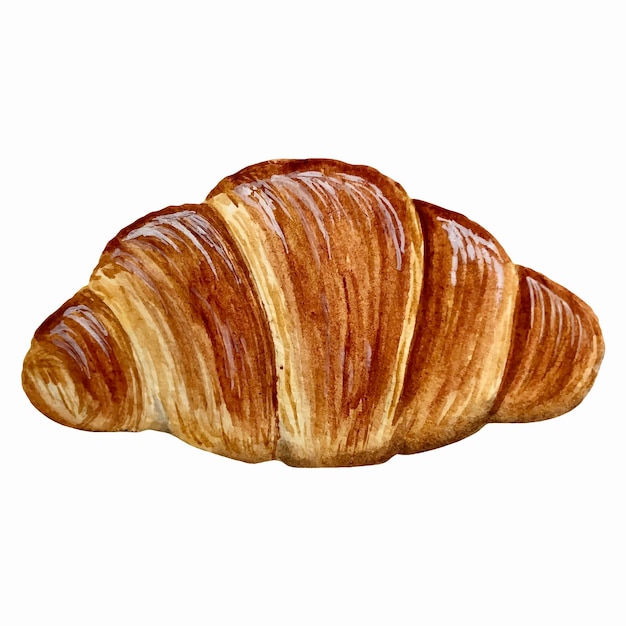 Croissant watercolor vector illustration. Bakery.