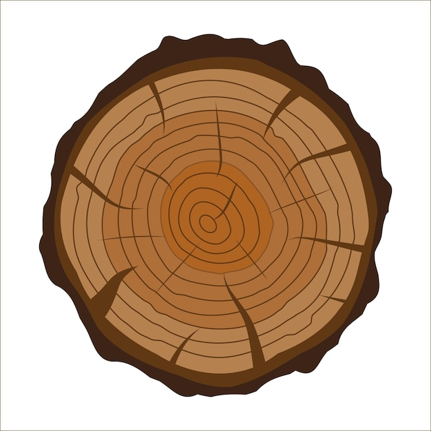 木の切り株または幹の断面。木版画。