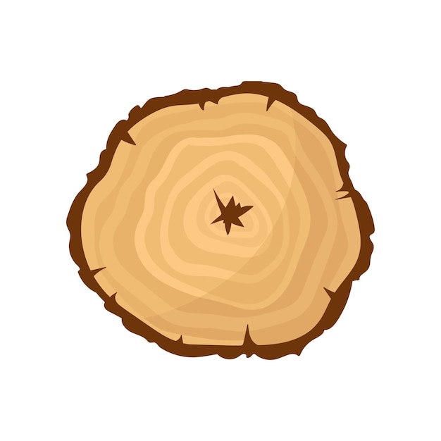 Sezione trasversale del tronco d'albero con anelli di crescita annuale materiale organico a struttura naturale icona vettore piatto