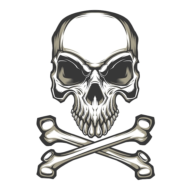 Crossbone skull mascot logo vector illustration