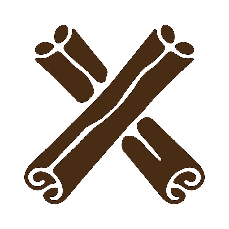 Vector crossed cinnamon sticks icon