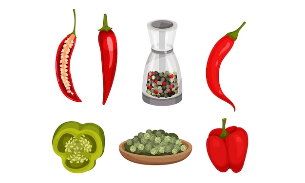 Vector crossed cut bell pepper and red hot pepper vector set