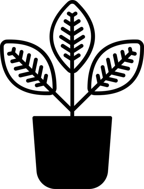 Vector croton plant glyph and line vector illustration