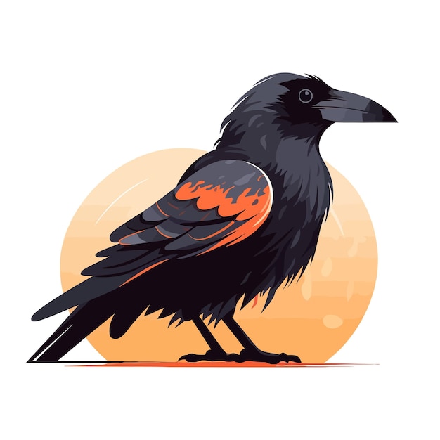 Crow beeld Leuke kraai geïsoleerd op witte achtergrond Illustratie van een kraai Vector illustratie