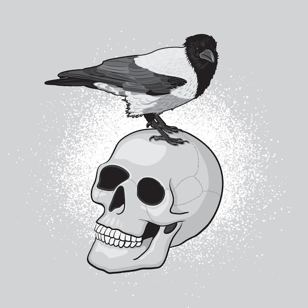 Vector crow bird on the human skull