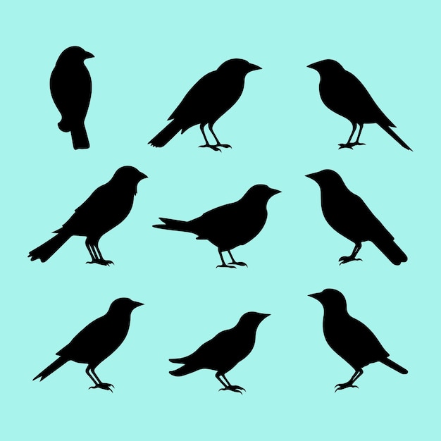 Crow bird set black silhouette vector