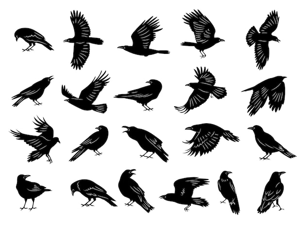 Vector crow birds flying ghotic birds silhouettes recent vector dark animals