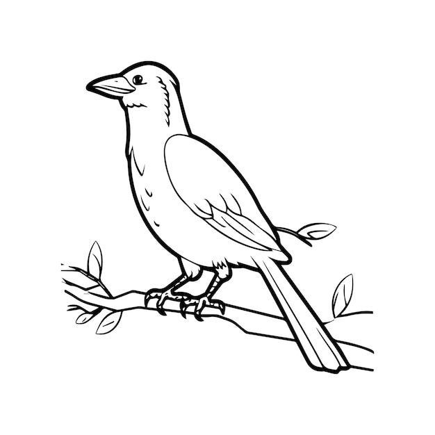 カラフルページ カラフル鳥の概要ベクトル カラフル本