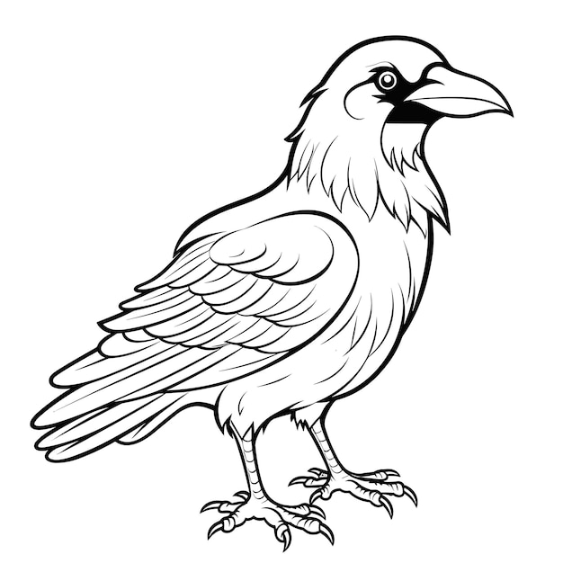 crow coloring pages vector animals