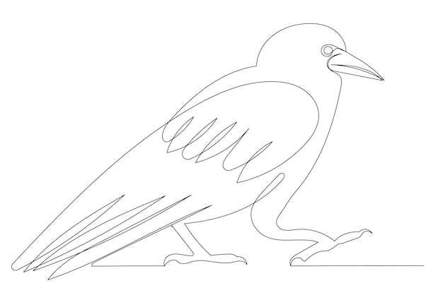 Crow continuous line drawing sketch