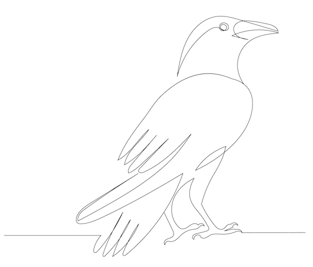 Crow drawing by one continuous line vector