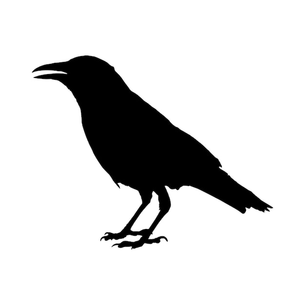 Vector crow silhouette set collection isolated black on white background vector illustration