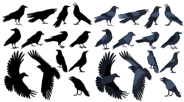 Crow silhouette set on white background isolated vector