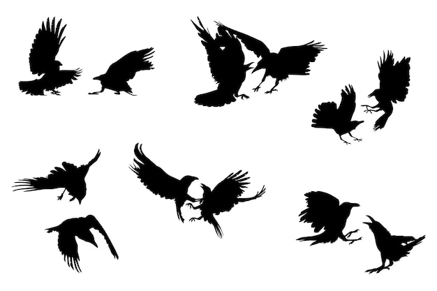 Vettore corvo silhouette