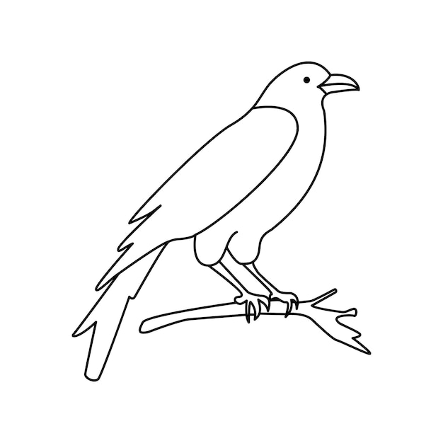 Crow single continuous one line out line vector art drawing and tattoo design