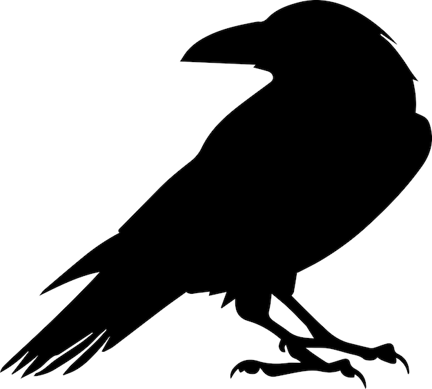 Crow vector silhouet illustratie 12