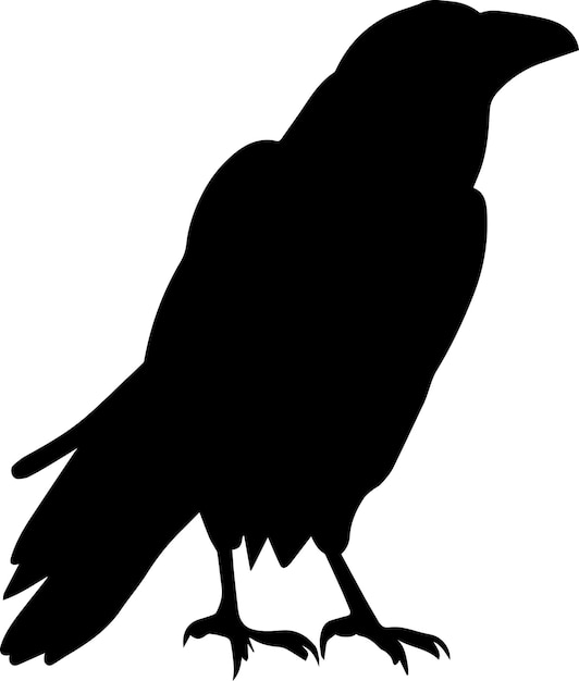 crow vector silhouette illustration