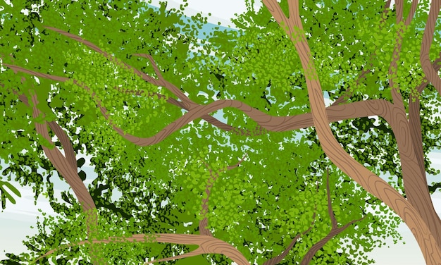 Vector the crown of large green deciduous trees and the blue sky peeping through it with thin clouds