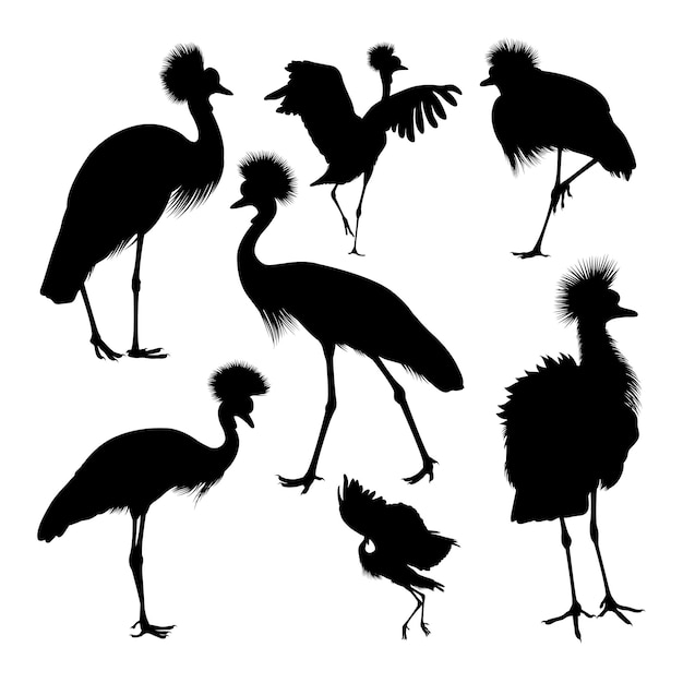 Crowned cranes bird silhouettes