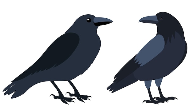 Crows flat design isolated vector