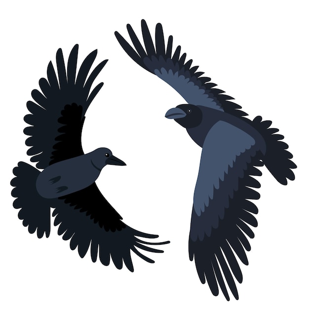 Crows flying flat design isolated vector