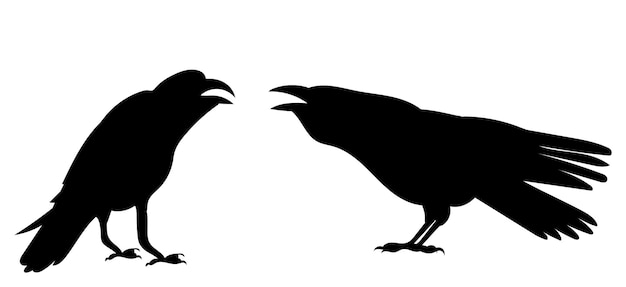 Crows silhouette on white background isolated vector