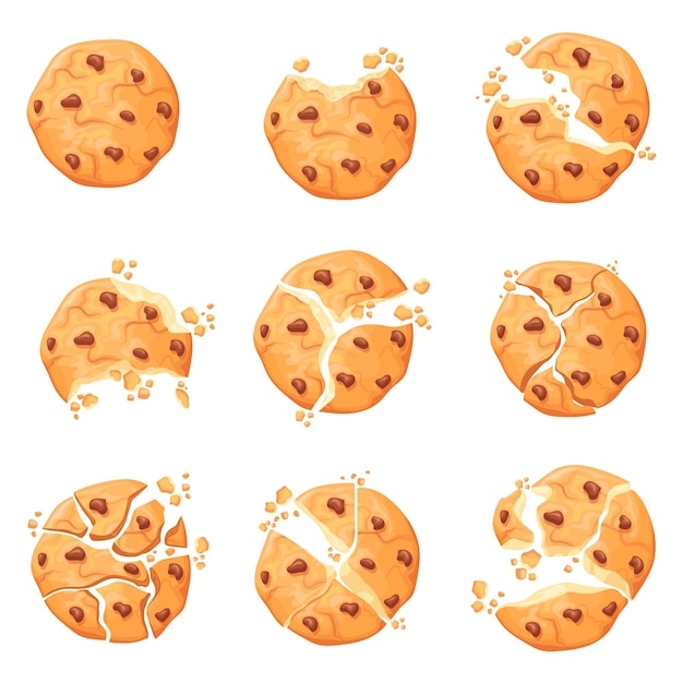 Crumbling cookie crunchy yummy cookies with chocolate crumb broken texture bitten piece of homemade biscuit sugar chip cake traditional sugar dessert neat vector illustration