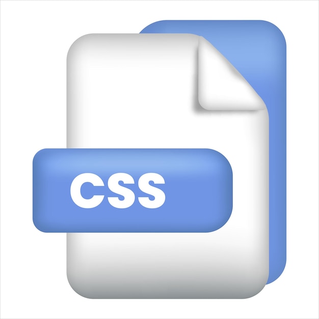 Икона формата файла CSS Икона 3D рендеринга Формат файла CSS Цвет документа Икона вектора