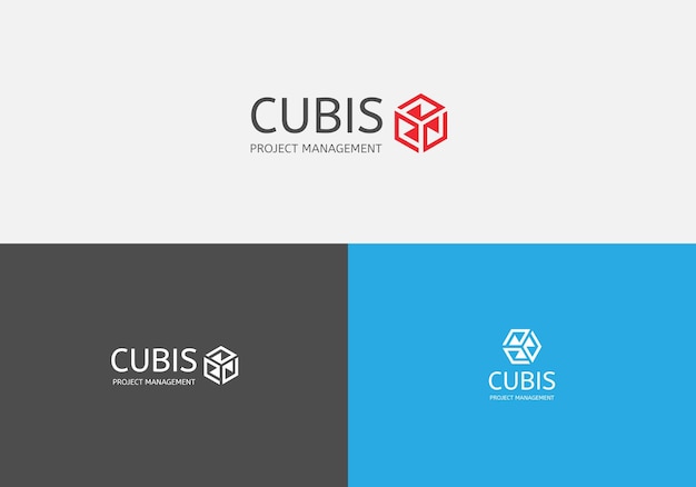 Cubis abstract geometric logo development