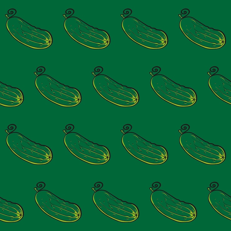 Vector cucumber_2
