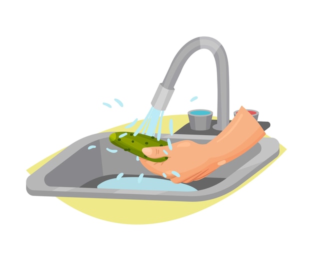 Vector cucumber cleaning and washing with tap water process vector illustration