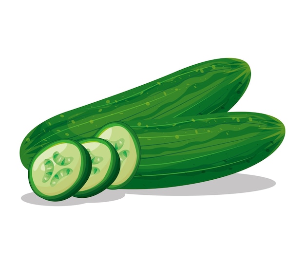 Cucumber drawing isolated over white background. vector illustration