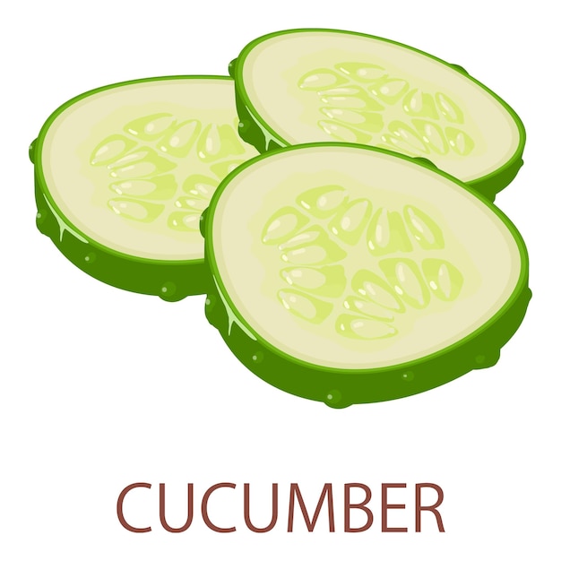 Vector cucumber icon isometric illustration of cucumber vector icon for web