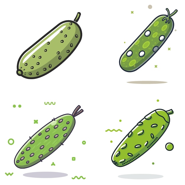 Vector cucumber illustration set