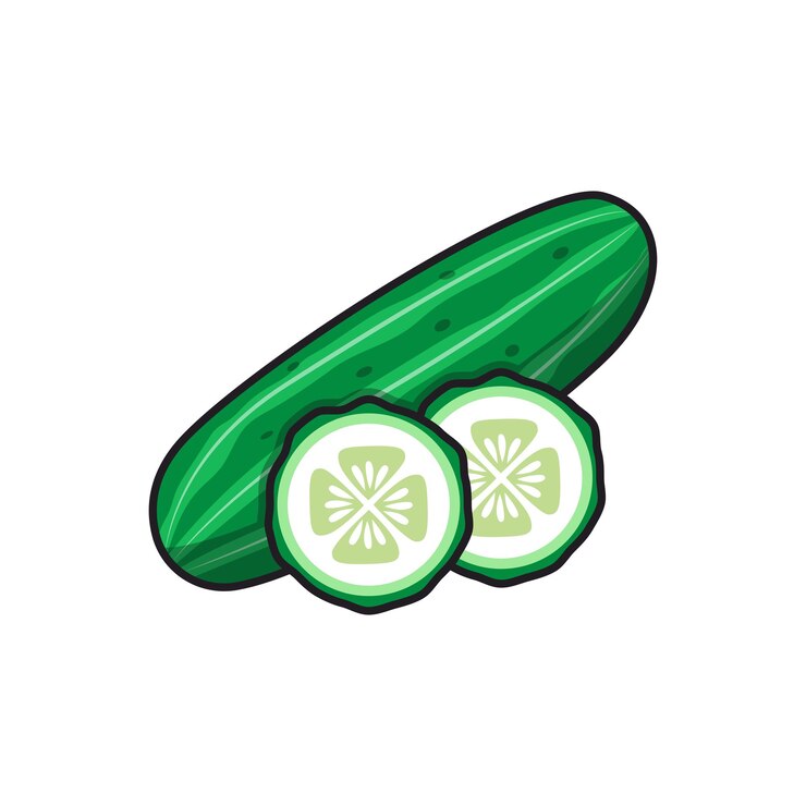 Vector cucumber illustration