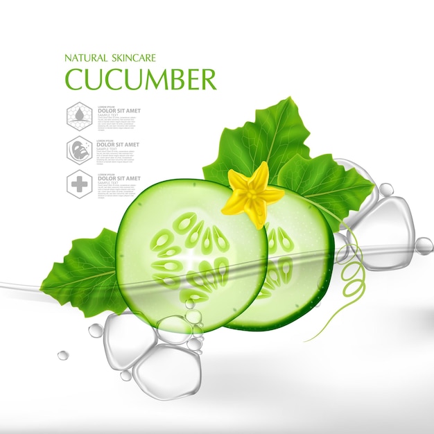 Vector cucumber natural moisture skin care cosmetic