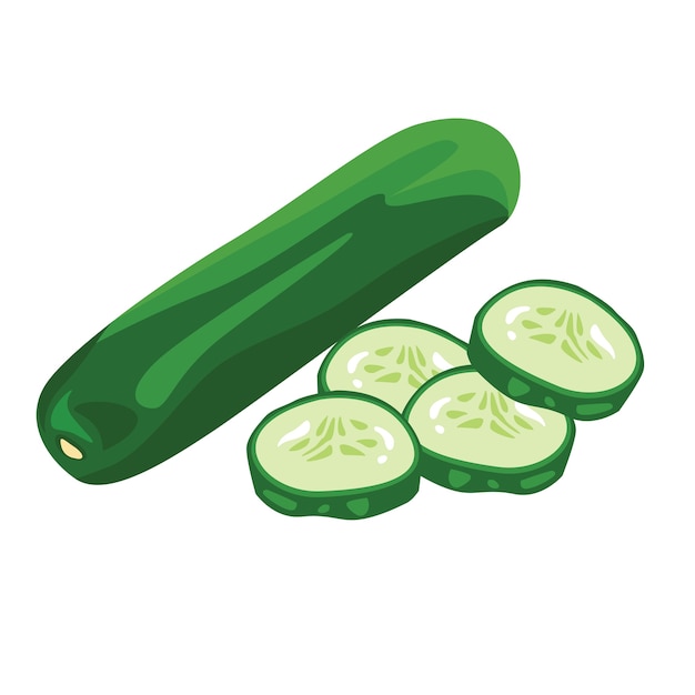 Vector cucumber realistic vector