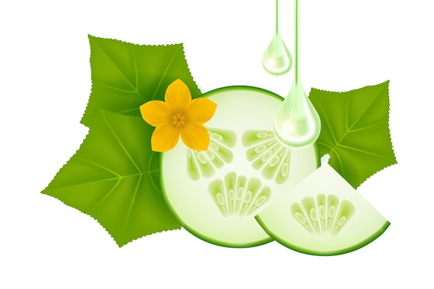 cucumber serum for skin care product vector illustration