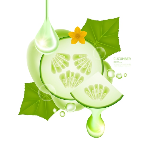 Cucumber serum for skin care product vector illustration