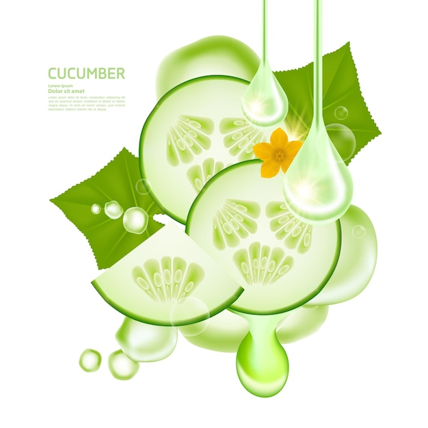 Vector cucumber serum for skin care product vector illustration