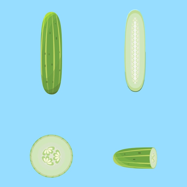Vector cucumber set
